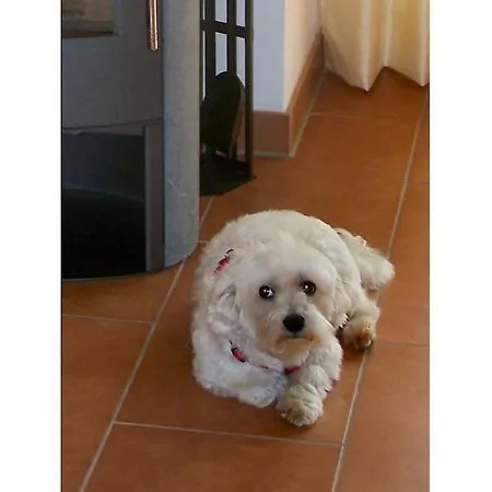 Feriehus Klabautermann Comfortable